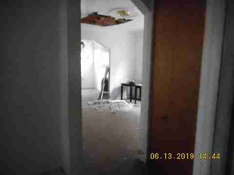 8266 Badger (12)_m.jpg